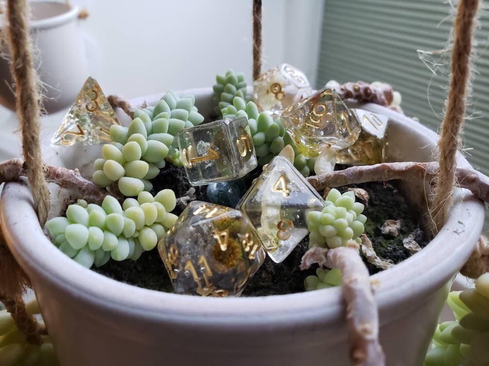Forest Floor (REAL PLANTS!) Dice Set For Dungeons And Dragons Tabletop RPG Games