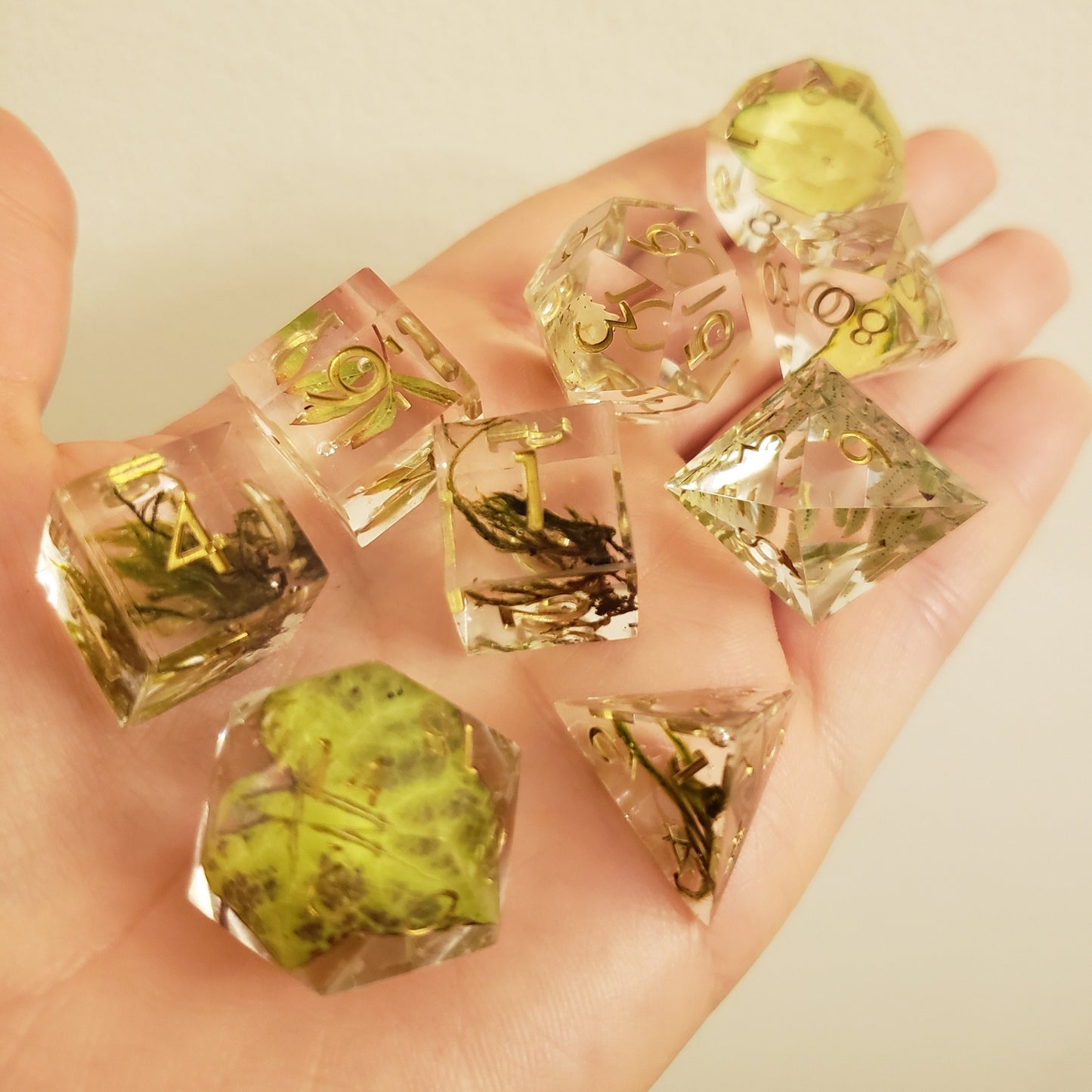 Forest Floor (REAL PLANTS!) Dice Set For Dungeons And Dragons Tabletop RPG Games