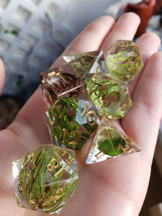 Forest Floor (REAL PLANTS!) Dice Set For Dungeons And Dragons Tabletop RPG Games